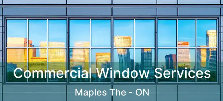  Commercial Window Services Maples The - ON