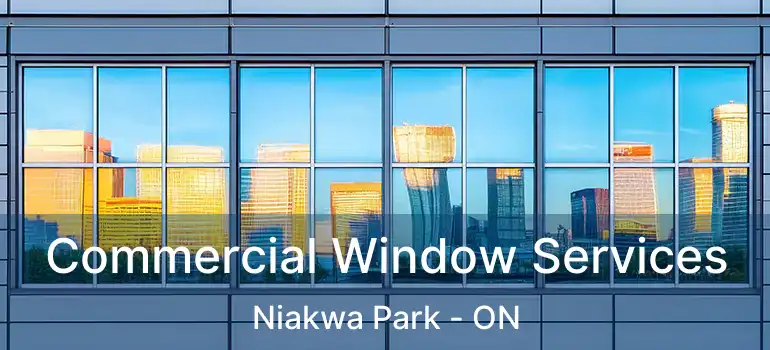  Commercial Window Services Niakwa Park - ON
