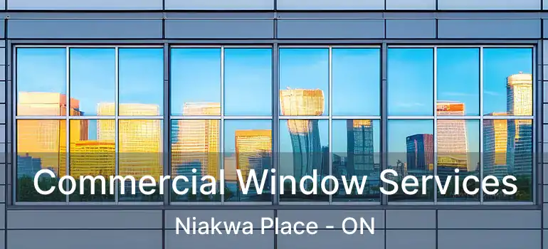  Commercial Window Services Niakwa Place - ON