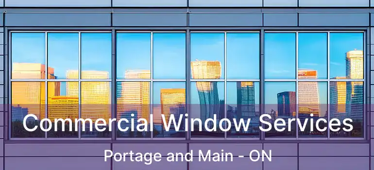  Commercial Window Services Portage and Main - ON