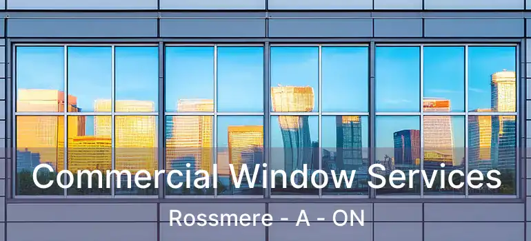  Commercial Window Services Rossmere - A - ON