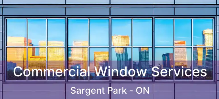  Commercial Window Services Sargent Park - ON