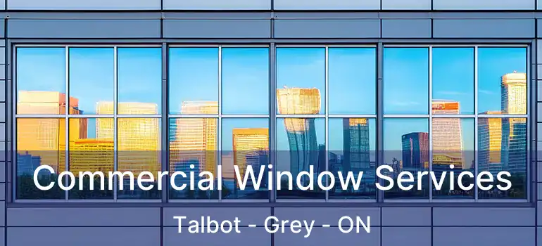  Commercial Window Services Talbot - Grey - ON