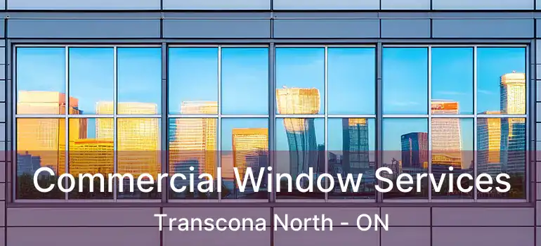  Commercial Window Services Transcona North - ON