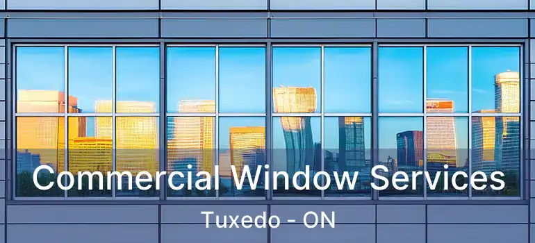  Commercial Window Services Tuxedo - ON