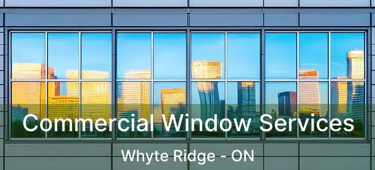 Commercial Window Services Whyte Ridge - ON