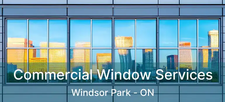  Commercial Window Services Windsor Park - ON
