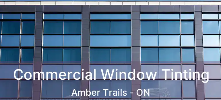  Commercial Window Tinting Amber Trails - ON