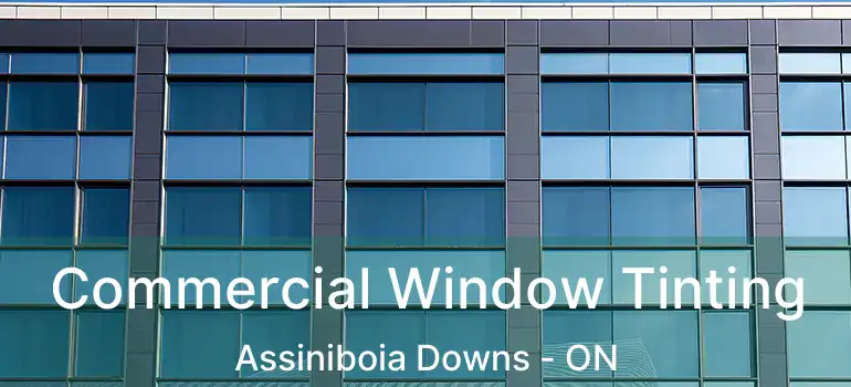  Commercial Window Tinting Assiniboia Downs - ON