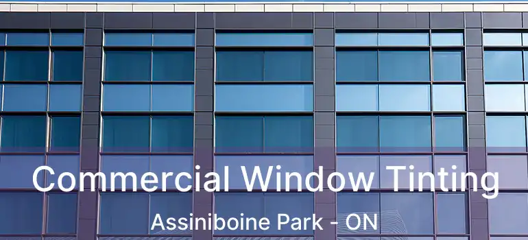  Commercial Window Tinting Assiniboine Park - ON