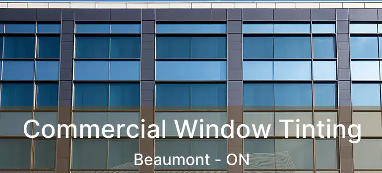  Commercial Window Tinting Beaumont - ON