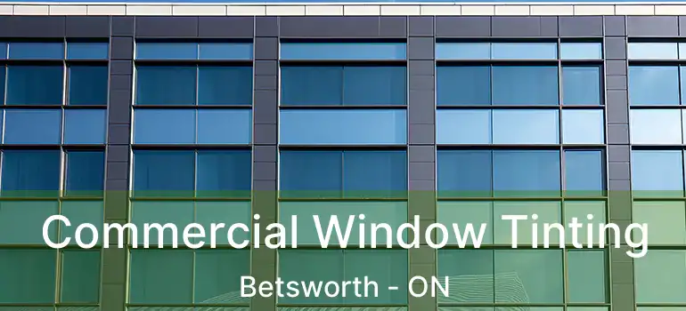  Commercial Window Tinting Betsworth - ON