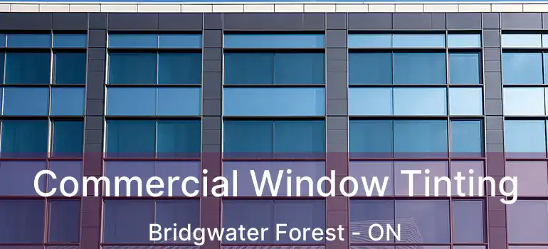  Commercial Window Tinting Bridgwater Forest - ON