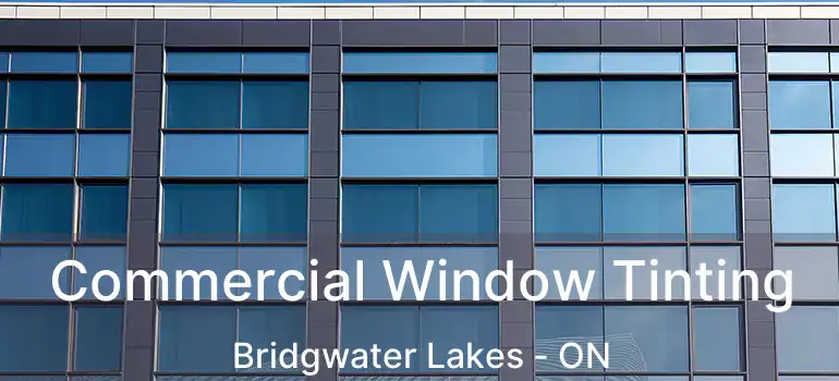  Commercial Window Tinting Bridgwater Lakes - ON