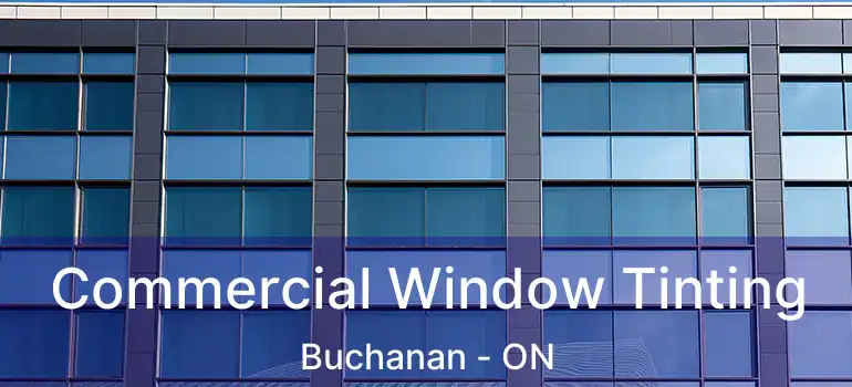  Commercial Window Tinting Buchanan - ON
