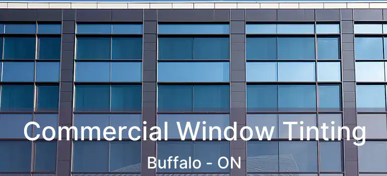  Commercial Window Tinting Buffalo - ON