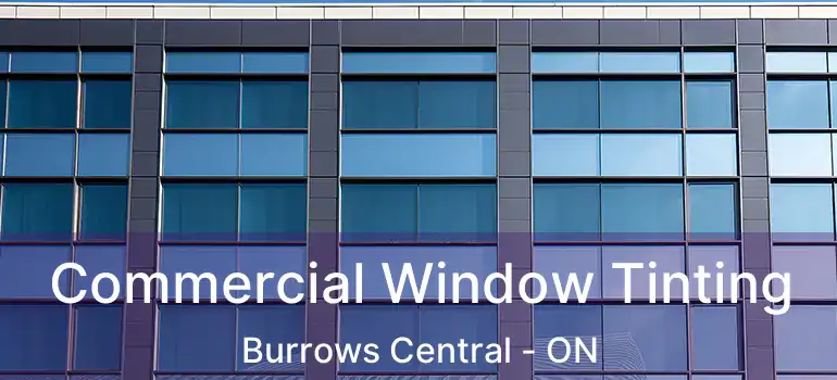  Commercial Window Tinting Burrows Central - ON