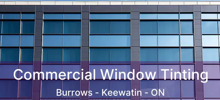  Commercial Window Tinting Burrows - Keewatin - ON