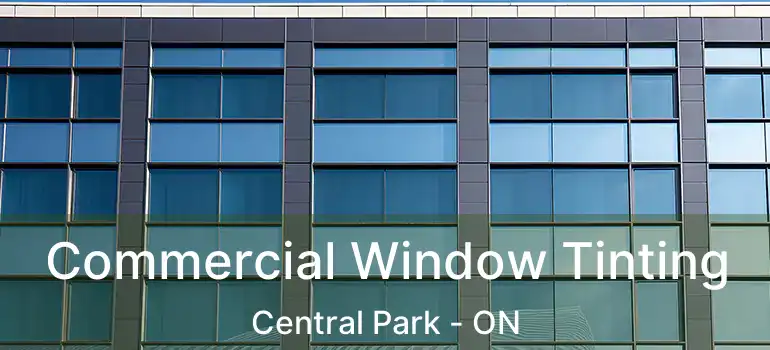  Commercial Window Tinting Central Park - ON