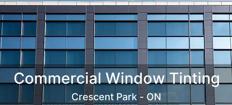  Commercial Window Tinting Crescent Park - ON
