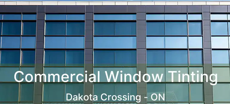  Commercial Window Tinting Dakota Crossing - ON