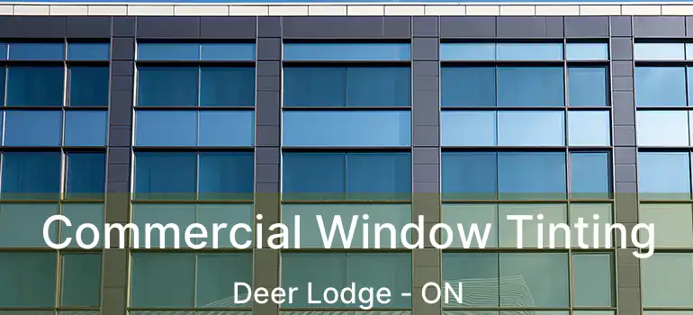  Commercial Window Tinting Deer Lodge - ON