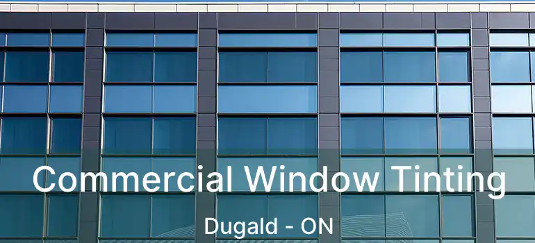  Commercial Window Tinting Dugald - ON