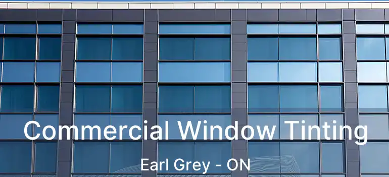  Commercial Window Tinting Earl Grey - ON