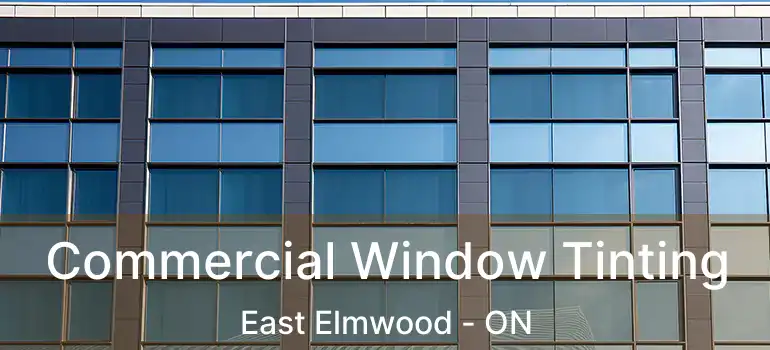  Commercial Window Tinting East Elmwood - ON