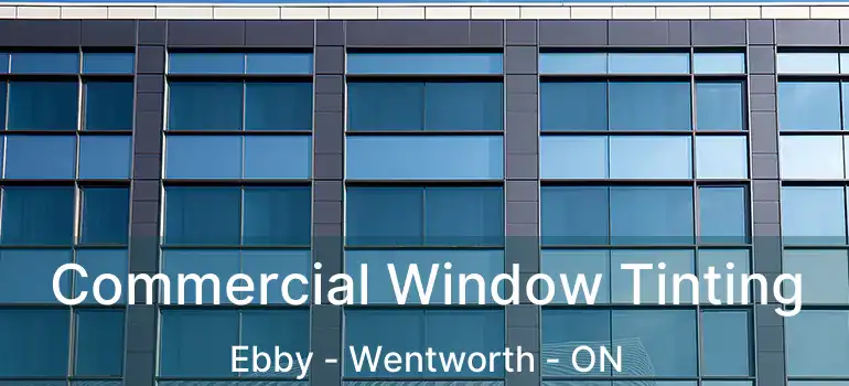  Commercial Window Tinting Ebby - Wentworth - ON