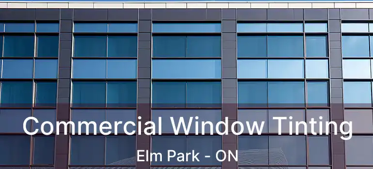  Commercial Window Tinting Elm Park - ON