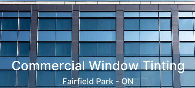  Commercial Window Tinting Fairfield Park - ON