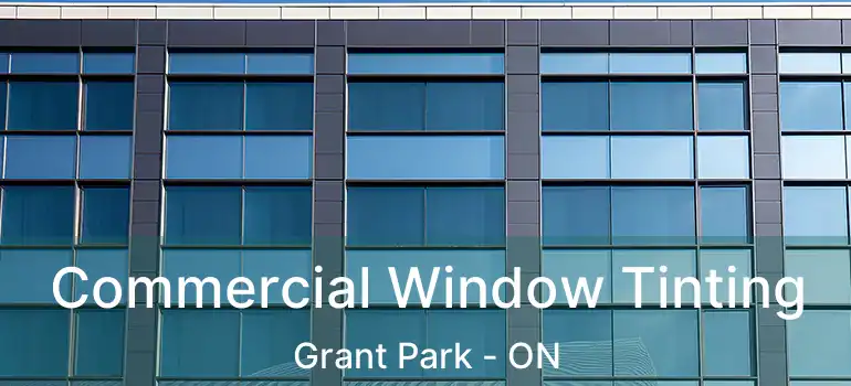  Commercial Window Tinting Grant Park - ON