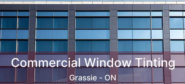  Commercial Window Tinting Grassie - ON