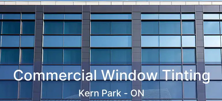  Commercial Window Tinting Kern Park - ON