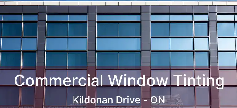  Commercial Window Tinting Kildonan Drive - ON