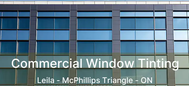  Commercial Window Tinting Leila - McPhillips Triangle - ON