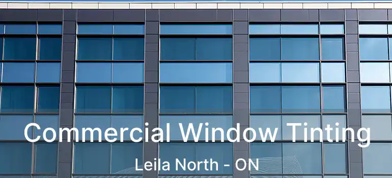  Commercial Window Tinting Leila North - ON