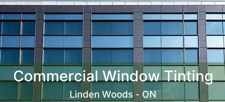  Commercial Window Tinting Linden Woods - ON