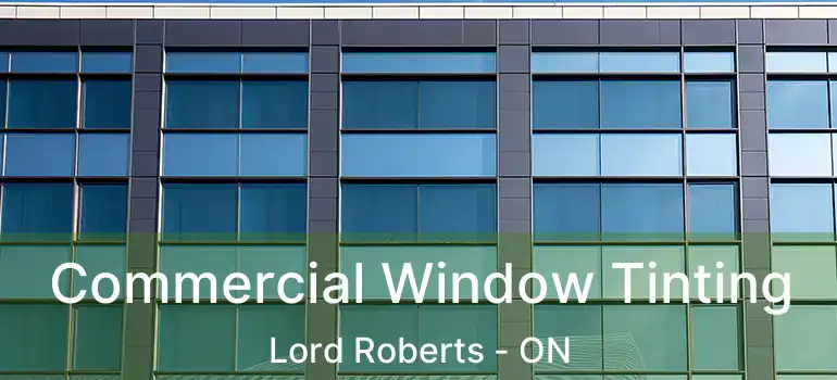  Commercial Window Tinting Lord Roberts - ON