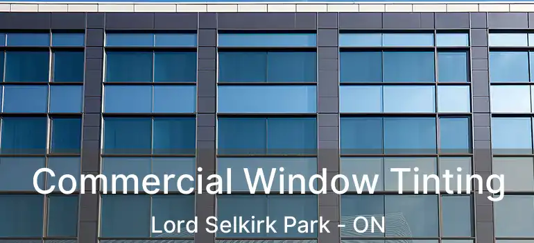  Commercial Window Tinting Lord Selkirk Park - ON