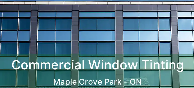  Commercial Window Tinting Maple Grove Park - ON