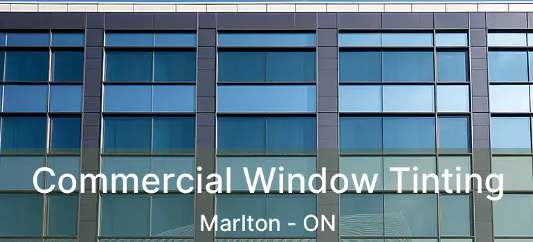  Commercial Window Tinting Marlton - ON