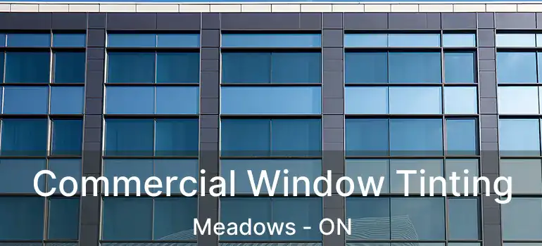  Commercial Window Tinting Meadows - ON
