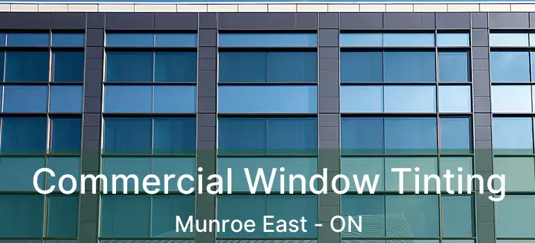  Commercial Window Tinting Munroe East - ON
