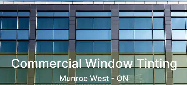  Commercial Window Tinting Munroe West - ON