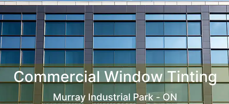  Commercial Window Tinting Murray Industrial Park - ON