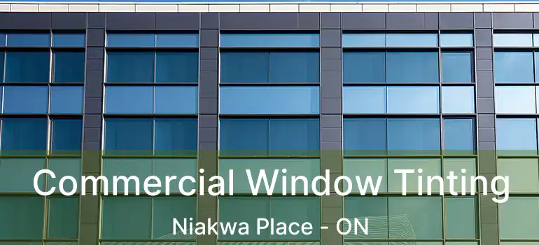  Commercial Window Tinting Niakwa Place - ON