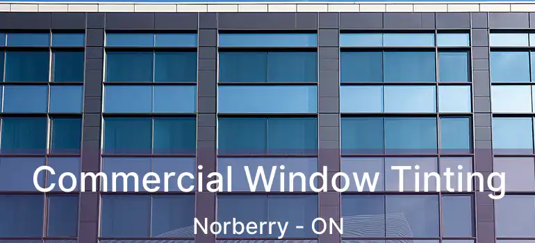  Commercial Window Tinting Norberry - ON