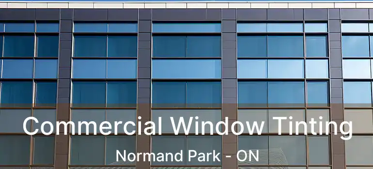  Commercial Window Tinting Normand Park - ON